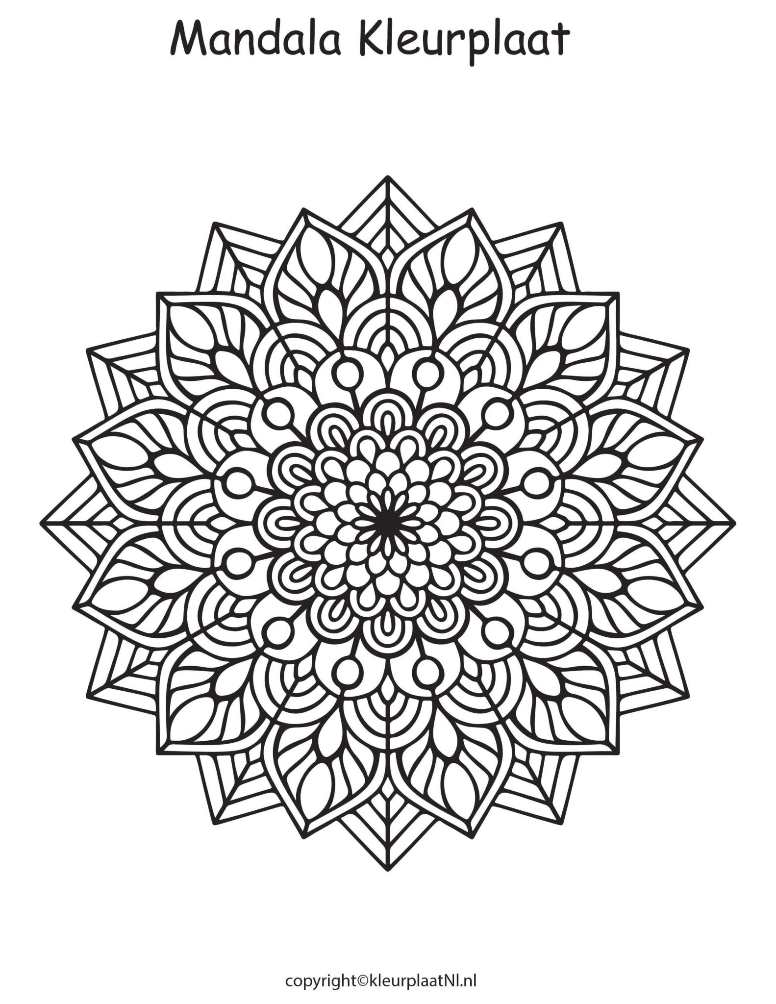 Mandala Kleurplaat Voor Beginners En Kinderen