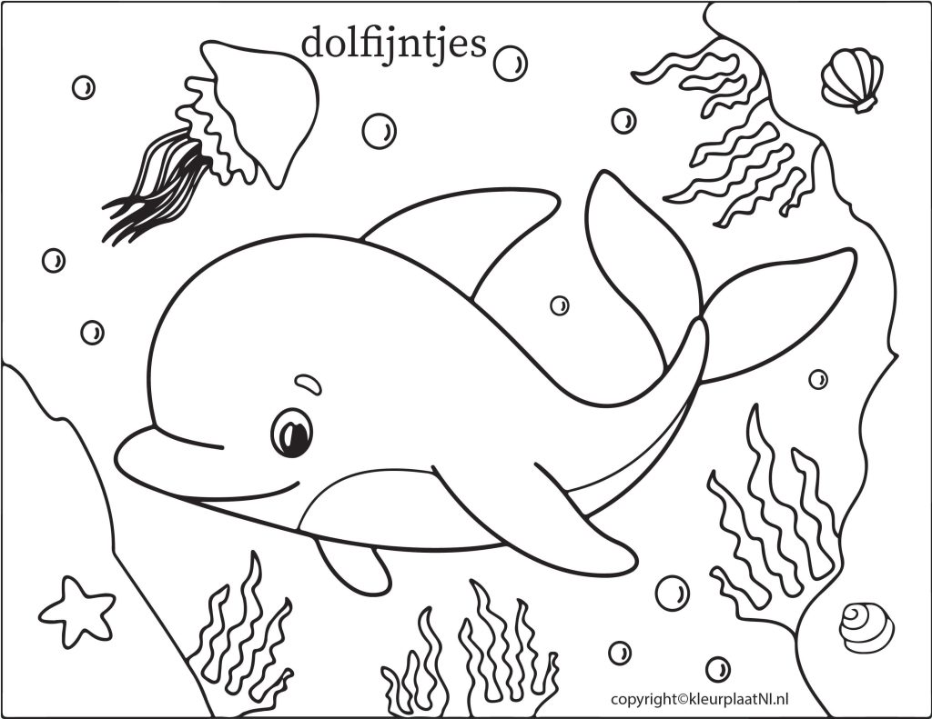 Dolfijn Kleurplaat