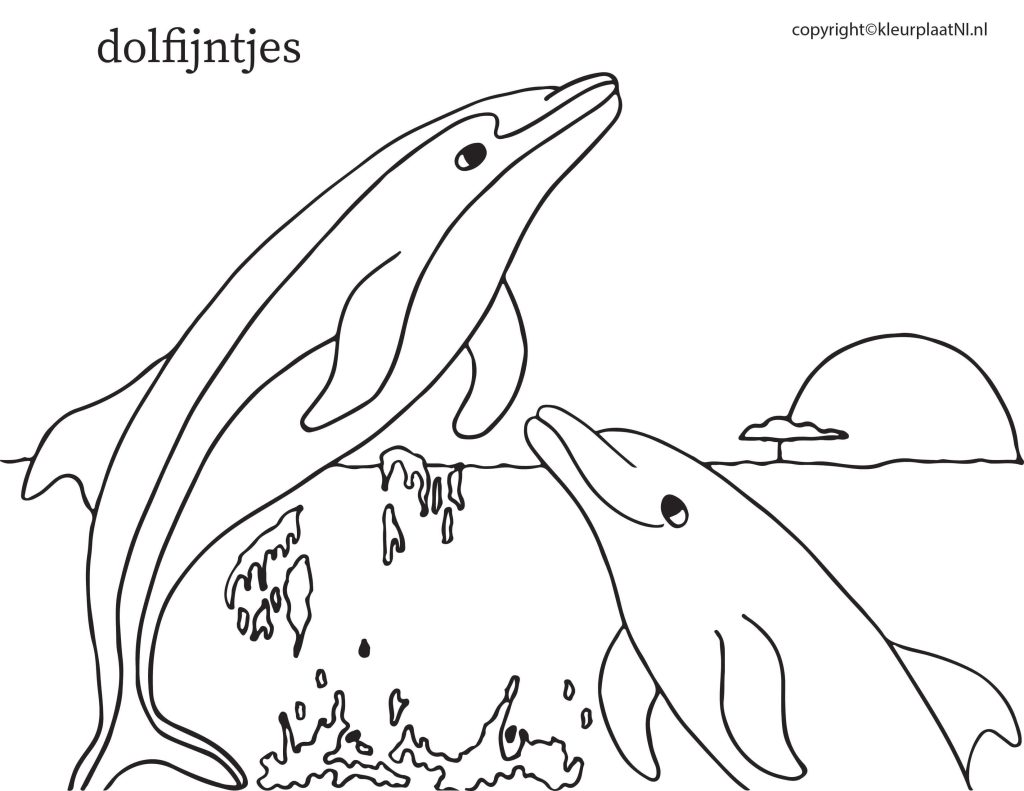 Dolfijnen Kleurplaat
