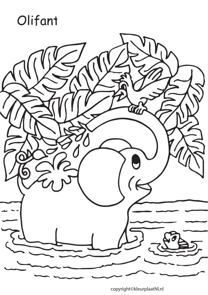 Olifant Kleurplaten