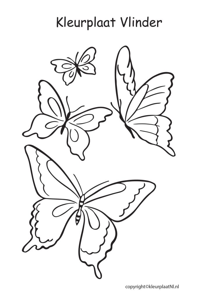 Vlinder Kleurplaat