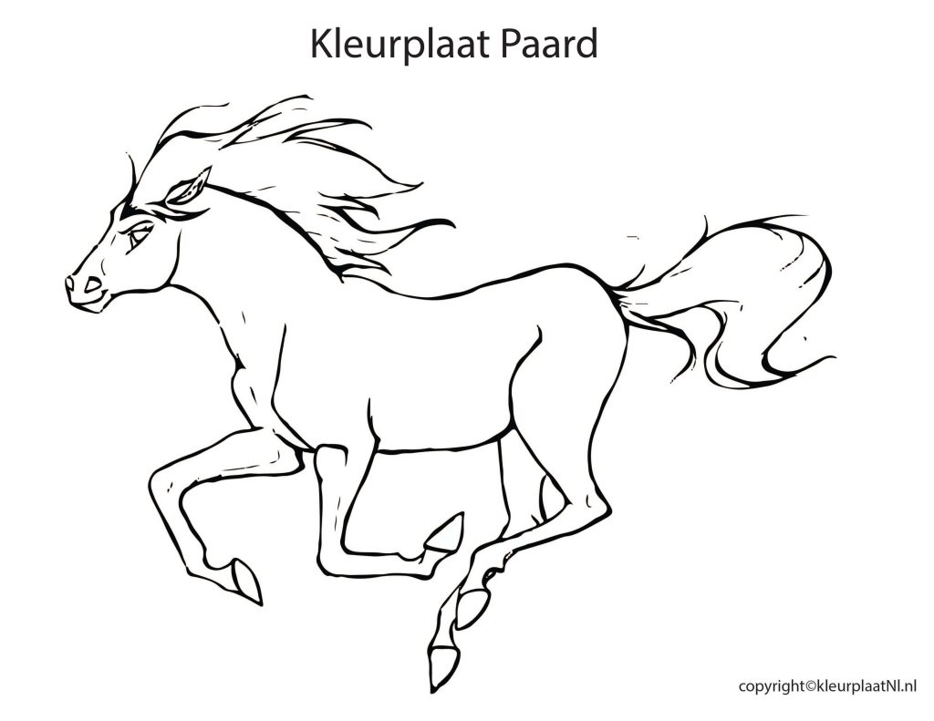 kleurplaten paarden